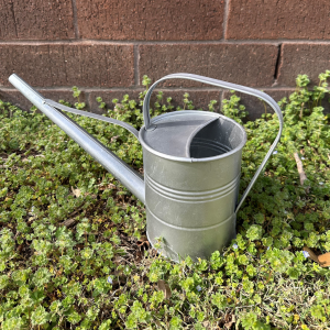 1.6 qt Capability Lengthy-Dealt with Galvanized Watering Can