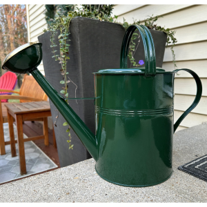 2.6-Gallon Inexperienced Galvanized Basic European Double Grip Watering Can