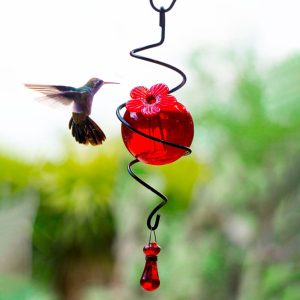 Spiral Droplet Hanging Hummingbird Feeder